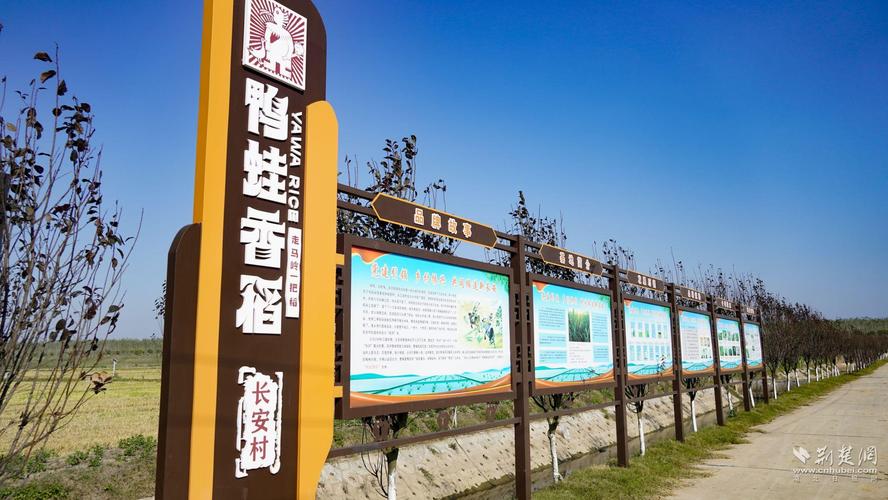 荆州国庆节天气预报，荆州十一天气预报？  第4张