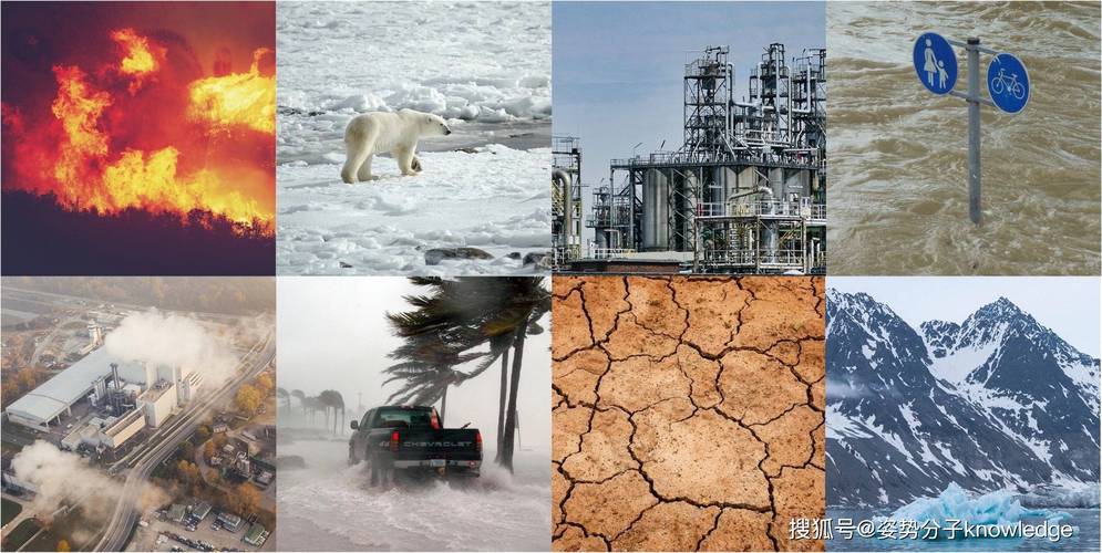 全球天气变暖的后果，全球天气变暖现象？  第3张
