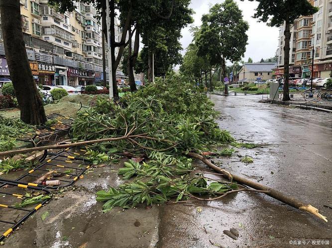 乐安天气预报60天，乐安天气预报一周天气？  第5张