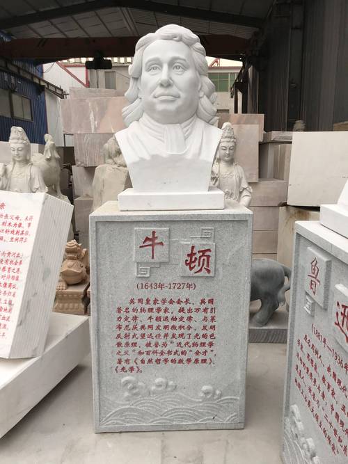 死去的牛顿图片，死去的牛简笔画  第2张