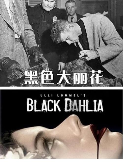世界上最恶心的惨案，世界上最恶心的惨案是什么？  第2张