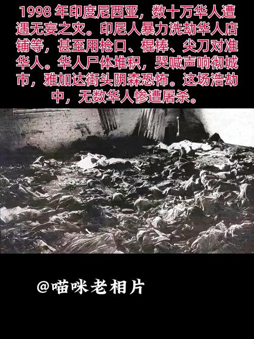 世界上最恶心的惨案，世界上最恶心的惨案是什么？  第4张