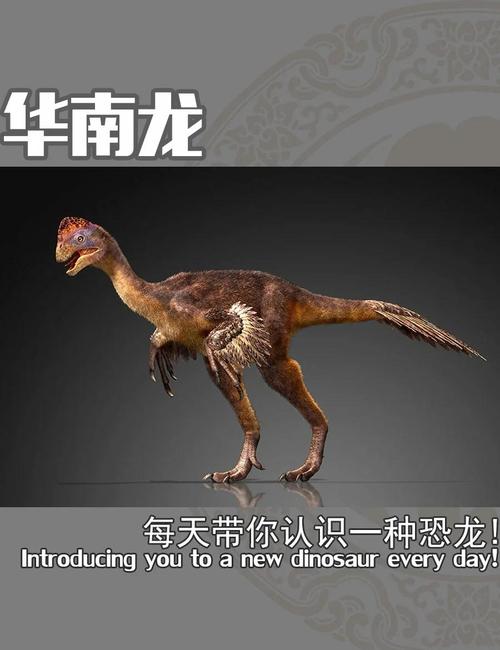 龙是几级保护动物，龙是几级保护动物的英文  第5张
