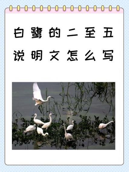 蓝可儿事件真相永远只有一个？蓝可儿事件真相永远只有一个吗？  第1张