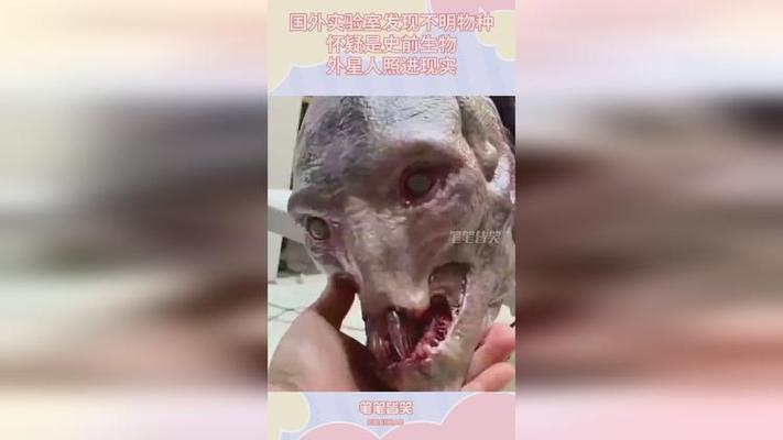 世界前十诡异生物？最诡异生物？  第4张