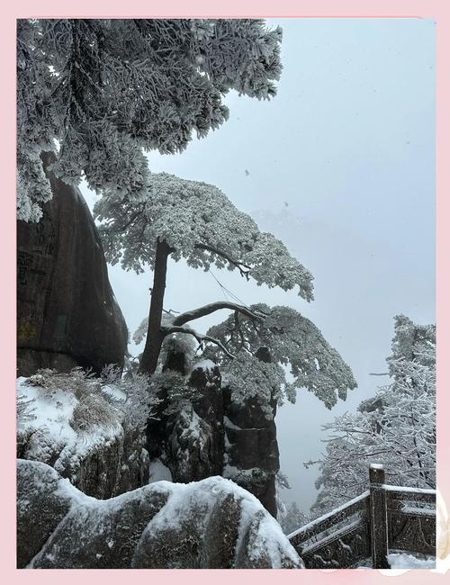 黄山未来30天气温，黄山风景区未来30天天气预测  第4张