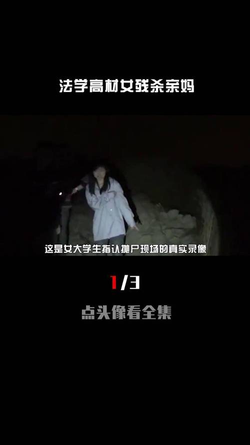 刁爱青案图片，刁爱青案图片 百度网盘？  第2张
