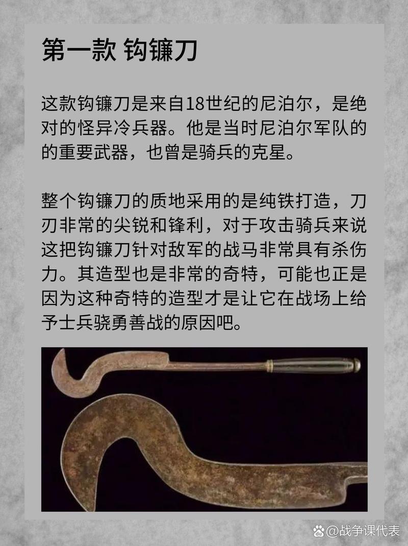 全球最怪异的兵器？最奇怪的兵器？  第3张