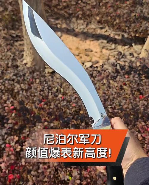 全球最怪异的兵器？最奇怪的兵器？  第5张