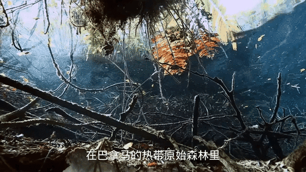 世界最全的未解之谜真相，世界未解之谜排名榜  第6张