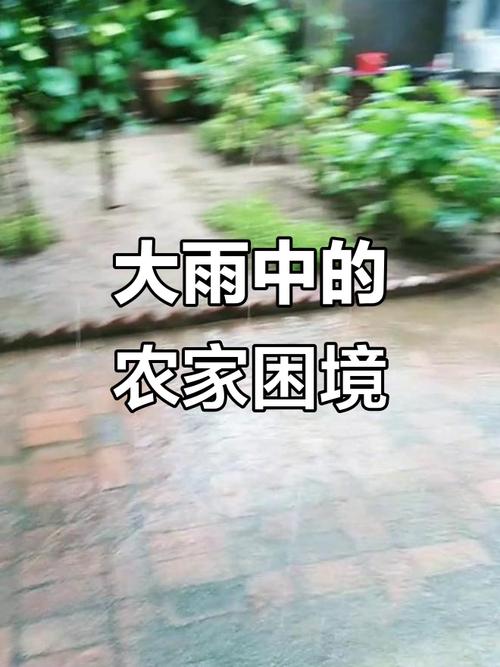 民权天气预报三十天，民权天气预报60天？  第3张