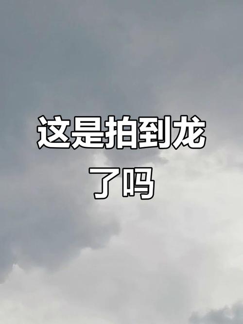 拍到的诡异生物，帮我查一下诡异生物的照片  第5张