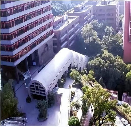 李嘉诚与庄明月楼，李嘉诚跟庄明月有血缘关系吗  第2张