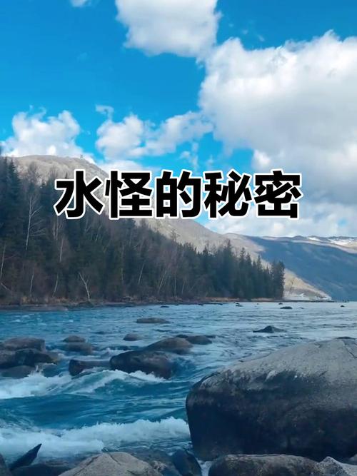 喀纳斯湖水怪的真相？喀纳斯湖15米巨型哲罗鲑图片？  第1张