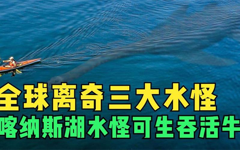 喀纳斯湖水怪的真相？喀纳斯湖15米巨型哲罗鲑图片？  第4张