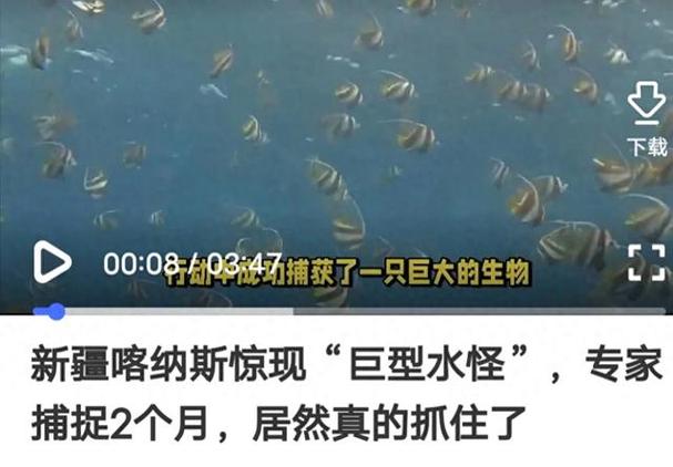 喀纳斯湖水怪的真相？喀纳斯湖15米巨型哲罗鲑图片？  第6张