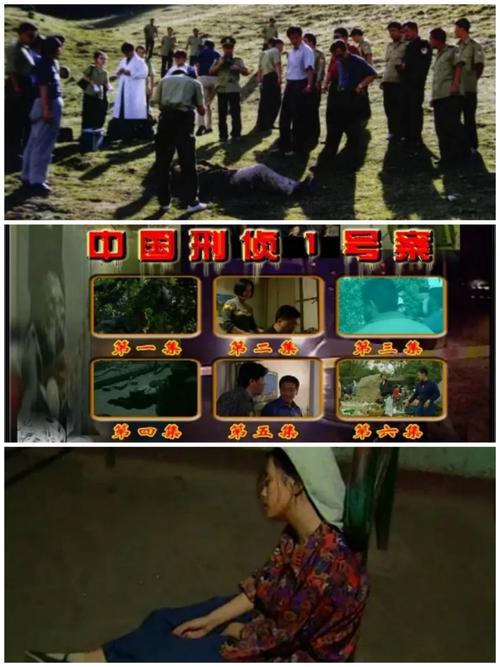 中国前十悍匪揭秘视频，中国前十悍匪揭秘视频播放？  第2张