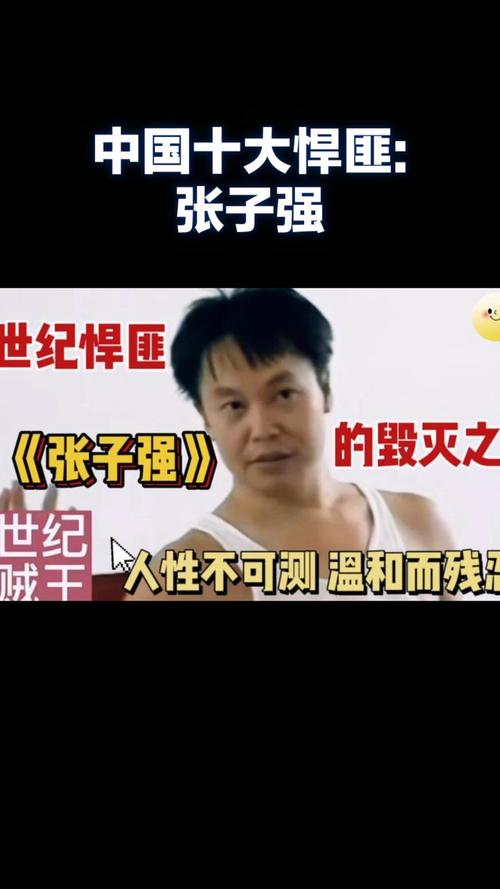 中国前十悍匪揭秘视频，中国前十悍匪揭秘视频播放？  第3张