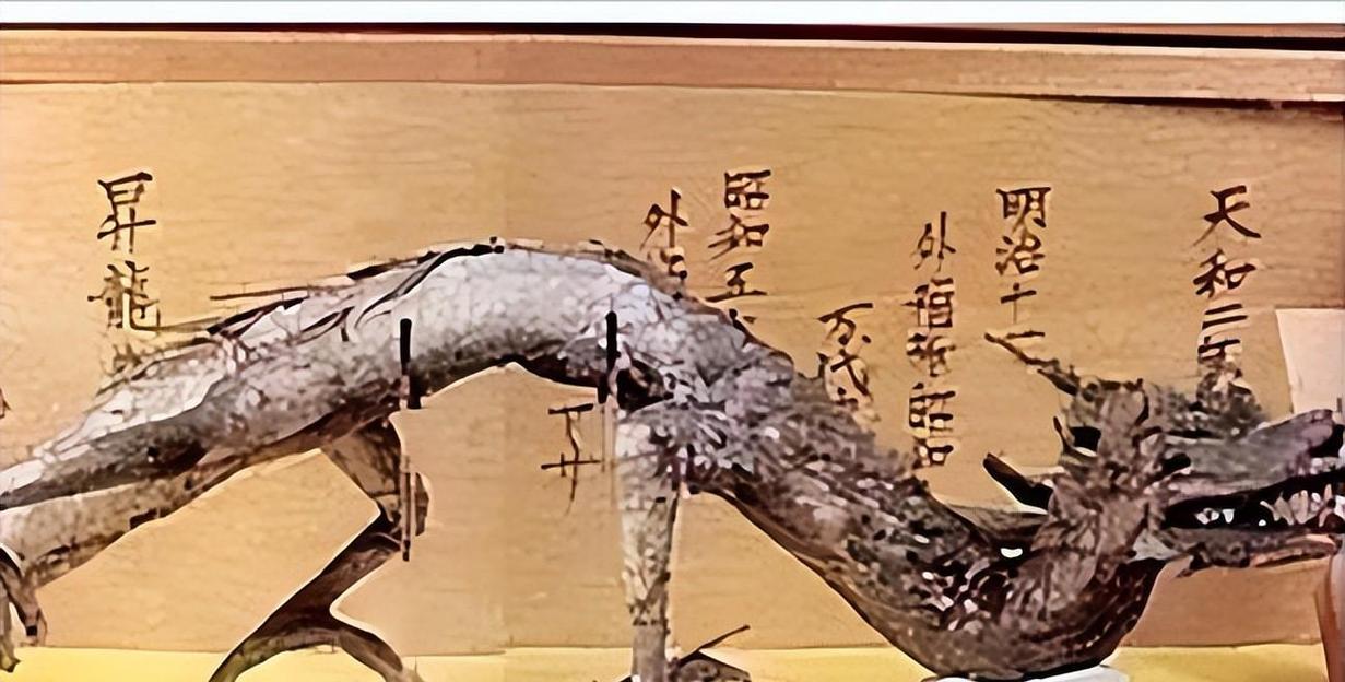 松花江坠龙事件报纸，松花江坠龙事件报纸图片  第2张