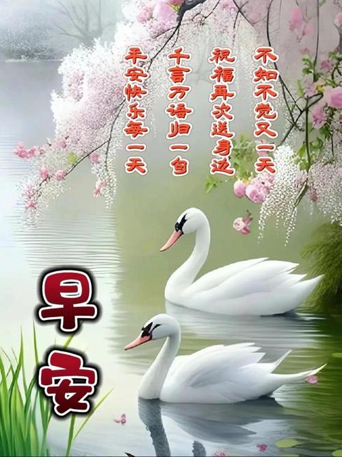 安康电视台天气预报，安康气象台天气预报  第4张