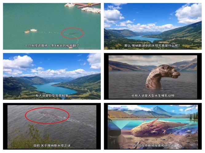 喀纳斯湖水怪大红鱼，喀纳斯湖水怪大红鱼视频？  第4张