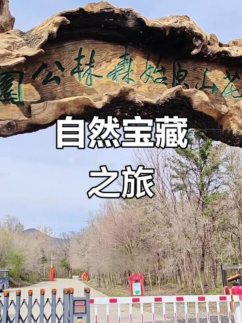 福田莲花山天气预报？91兽王怎么样？  第1张