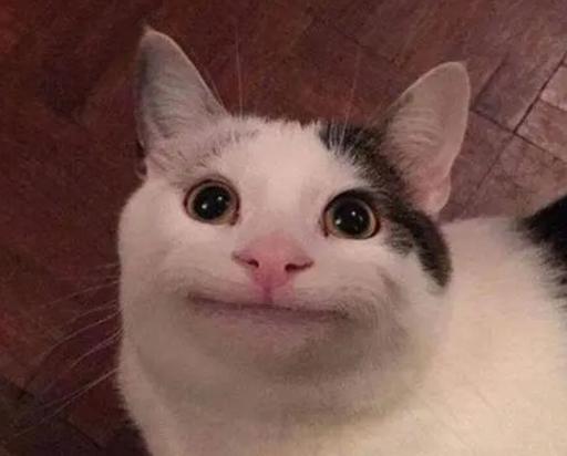 微笑猫为什么恐怖，微笑 猫  第2张