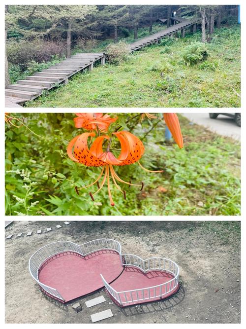 霍州市天气预报下载？霍州未来一周天气预报？  第5张