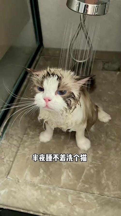 唯一被国家承认的灵异事件？被官方认可过的灵异事件？  第2张
