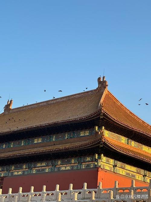 99年故宫乌鸦事件，故宫乌鸦群图片？  第1张