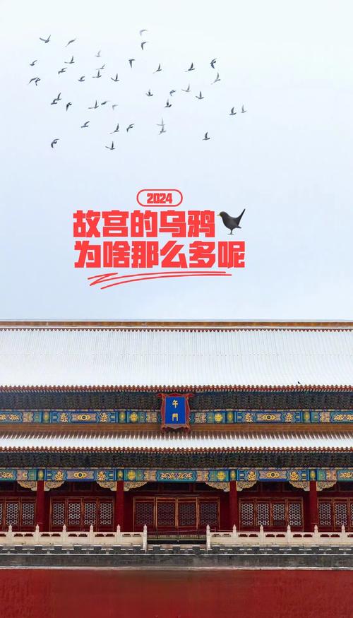99年故宫乌鸦事件，故宫乌鸦群图片？  第5张
