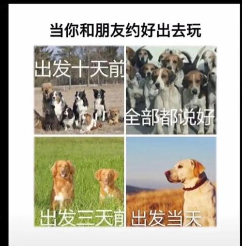 南京高淳区天气预报？南京高淳天气预报7天查询结果是什么样的？  第1张