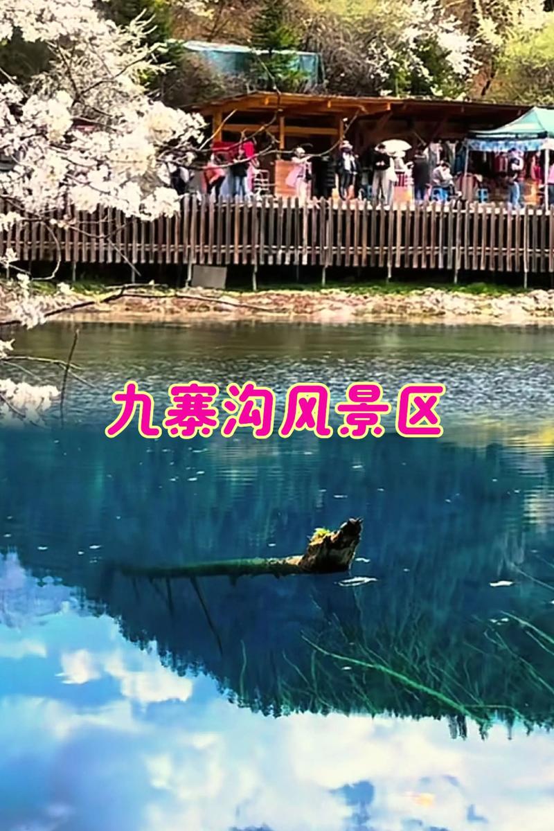 朔州市右玉天气预报，右玉天气预报一周天气？  第5张
