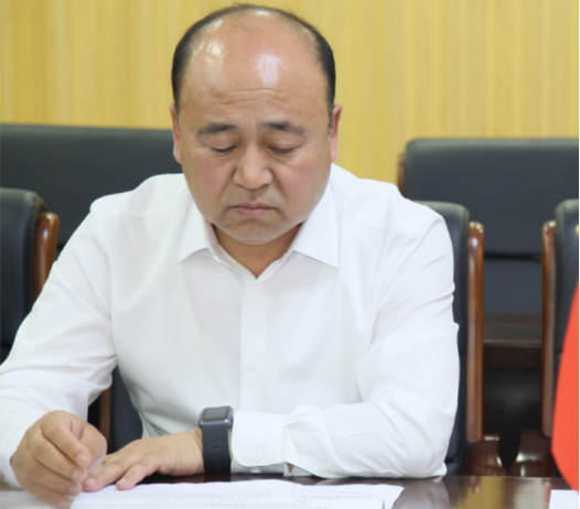 中国黑社会现状，中国近来的黑社会  第2张