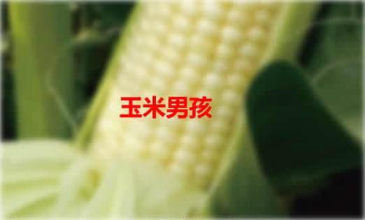 芝麻女孩儿的视频，芝麻女孩原片？  第6张