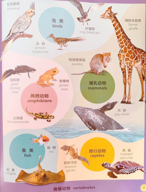 全世界的奇闻异事视频，全世界的奇闻异事视频在线观看  第4张