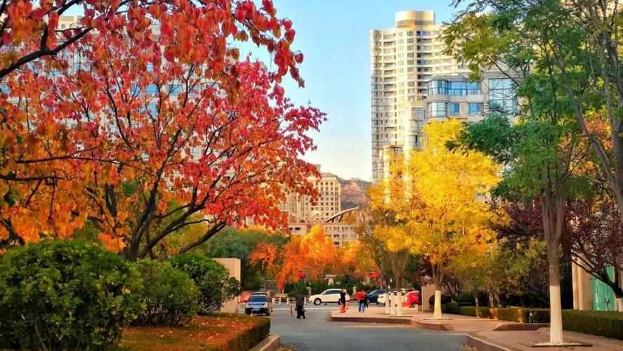 大连天气app下载，天气预报大连市天气预报？  第1张
