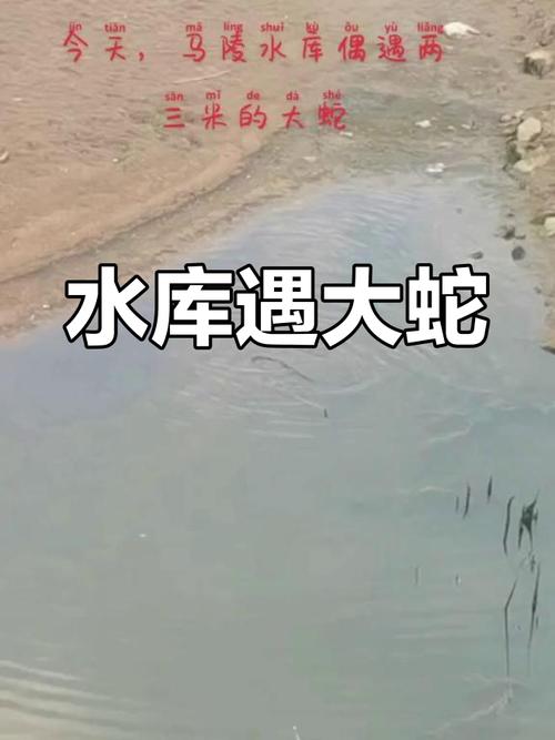98年涨水出的最大蛇，98年以来最大洪水？  第2张