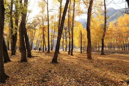 昌吉市八月份的天气？2021年昌吉七月天气预报？  第2张
