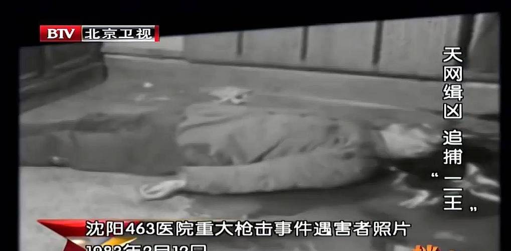 二王事件真相完整版，当年的二王是哪里人  第2张