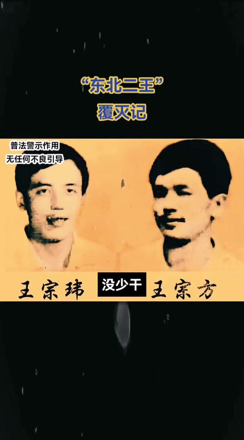 二王事件真相完整版，当年的二王是哪里人  第5张