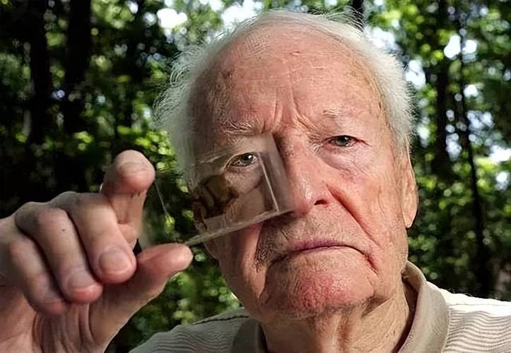 爱因斯坦的大脑被切成240块？爱因斯坦的大脑被切成240块了？  第1张