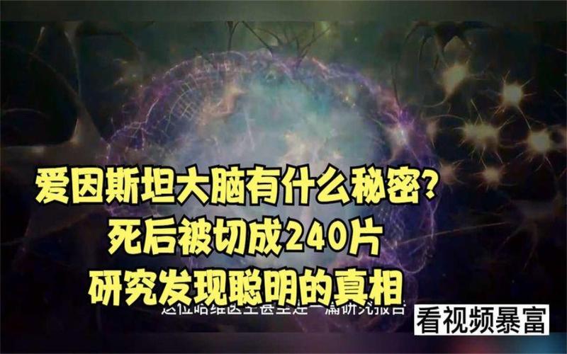 爱因斯坦的大脑被切成240块？爱因斯坦的大脑被切成240块了？  第4张