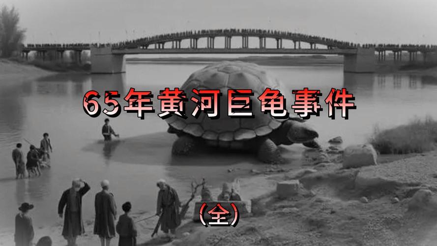 凤凰山ufo神秘事件视频？凤凰山ufo神秘事件视频播放？  第5张