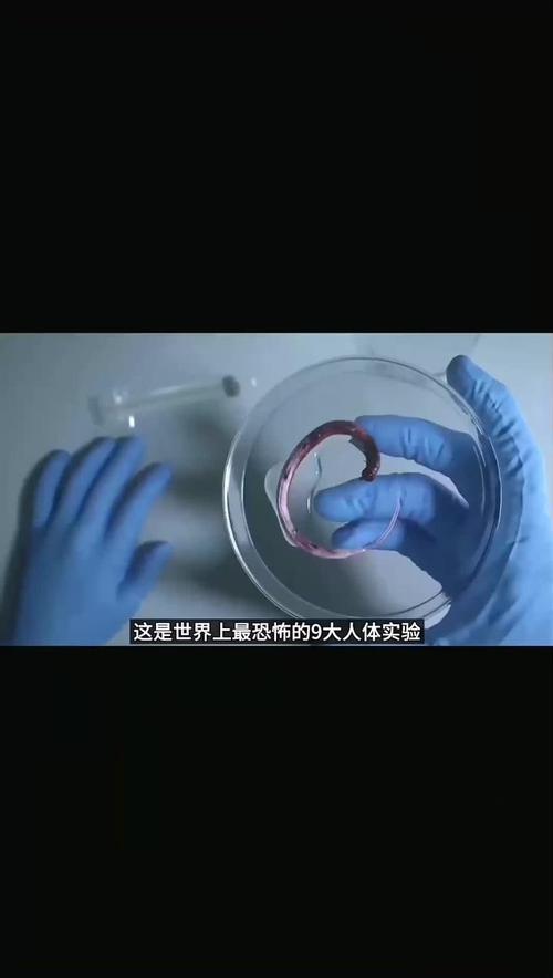 世界上最恐怖的人体实验，最恐怖的人体博物馆？  第2张