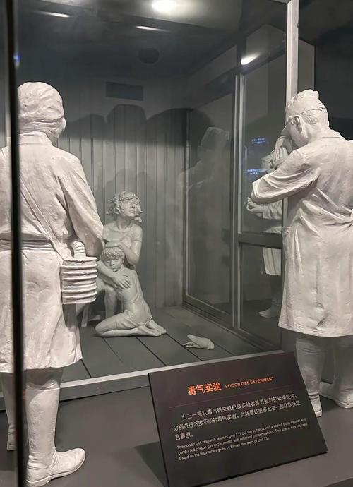 世界上最恐怖的人体实验，最恐怖的人体博物馆？  第3张