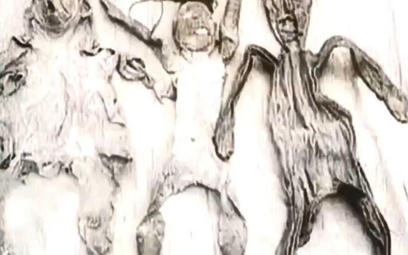 世界上最恐怖的人体实验，最恐怖的人体博物馆？  第5张
