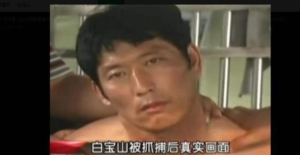 中国前十悍匪之首白宝山，中国第一悍匪白宝山第一集？  第1张