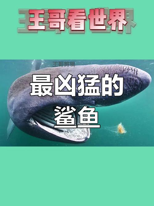 全球前十怪异？全球前十怪异景区？  第4张