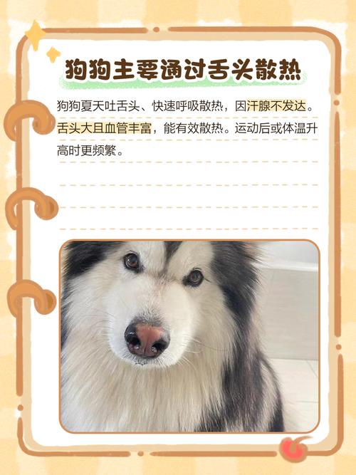 成都天气还要热多久，成都天气什么时候才能跟暖和起来  第2张